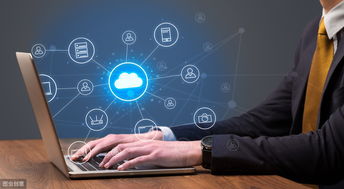 農(nóng)產(chǎn)品電子商務(wù)發(fā)展 機(jī)遇、挑戰(zhàn)與經(jīng)營策略探討